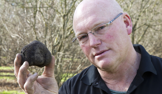 1人1猪搜寻深山里的“黑球球”，国外当宝国内喂猪，一公斤卖1500