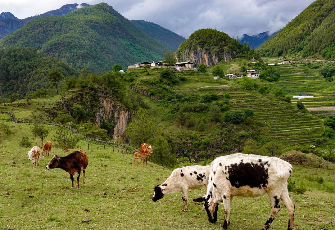 来云南大山中寻中国绝美古村落,云南9个被人遗忘的古村落