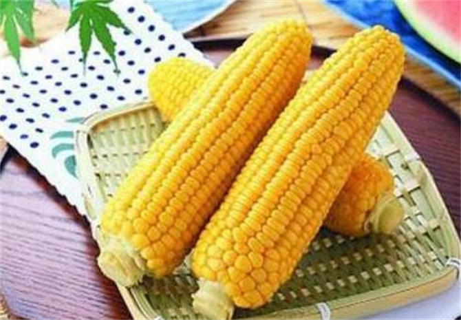 生玉米能吃不,生玉米能吃吗有毒吗