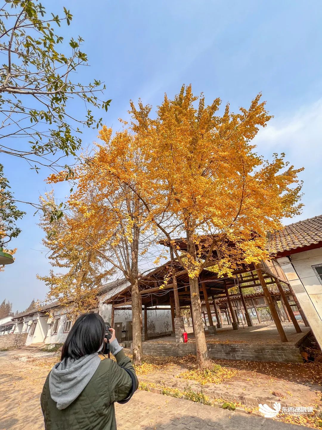 东西湖哪个片区发展有潜力,东西湖哪个片区潜力最大