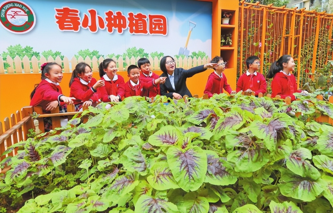 人民日报云南两会特刊,办好人民满意的教育云南