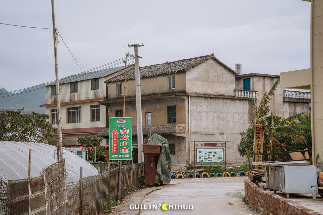 一鱼7吃！11斤以上大活鱼现做！桂林市郊这处田园秘境太会做了！