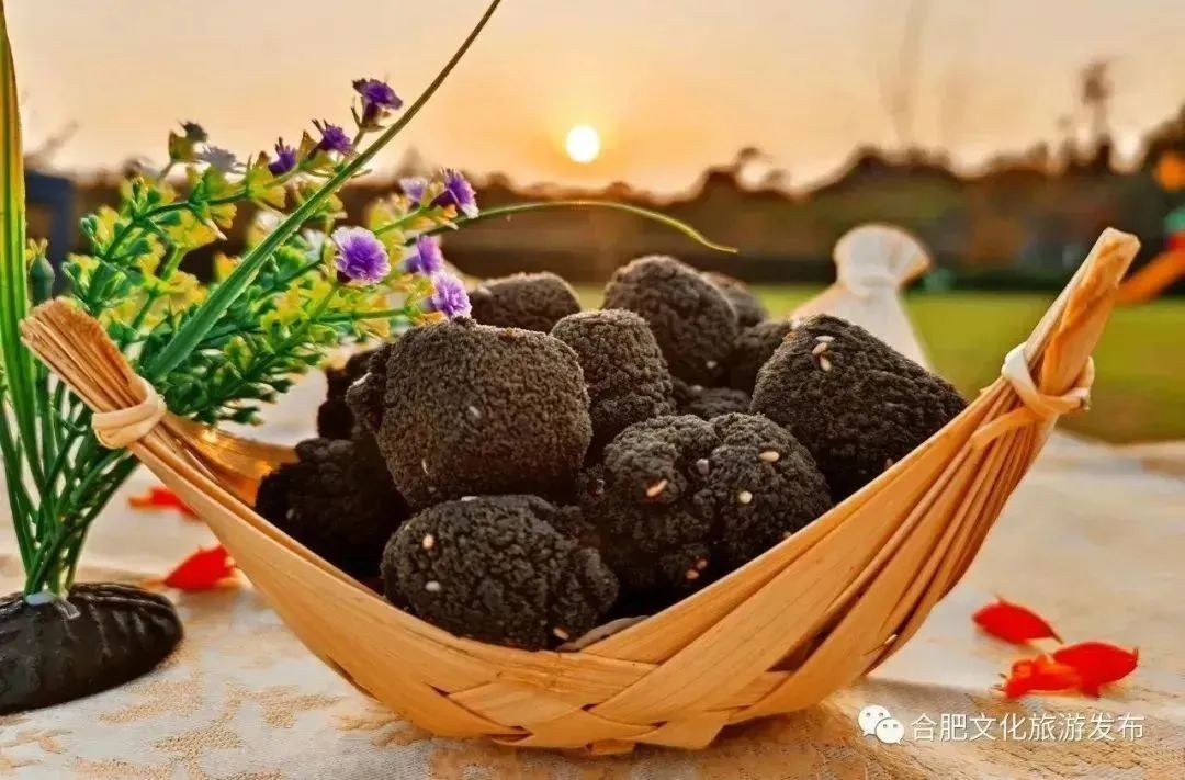 合肥五一旅游超全攻略,合肥五一出游攻略