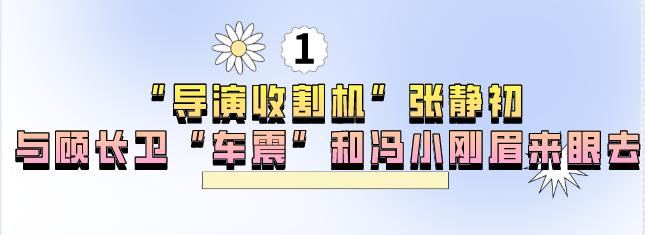 导演张静初和蒋雯丽,王家卫张静初蒋雯丽事件