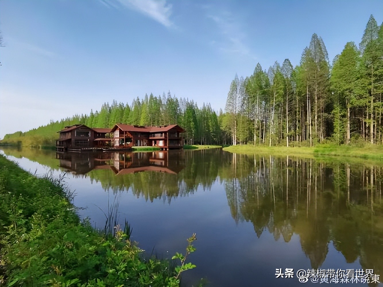 盐城最大的海边城市,盐城海岸线为何一直延伸