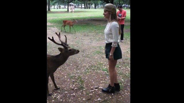 超级血液代表着什么,超级血液是啥