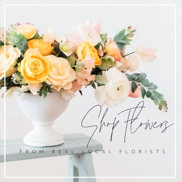 花艺基础知识大全书籍,花艺入门的书籍推荐