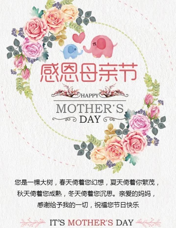 母亲节感恩图片素材,母亲节感恩母亲的图片文字