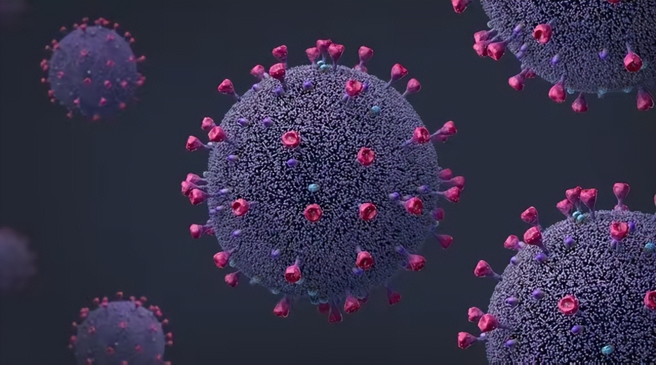 国内发现XBB，不必恐慌，建议多吃3种“高蛋白”食物，提高免疫力