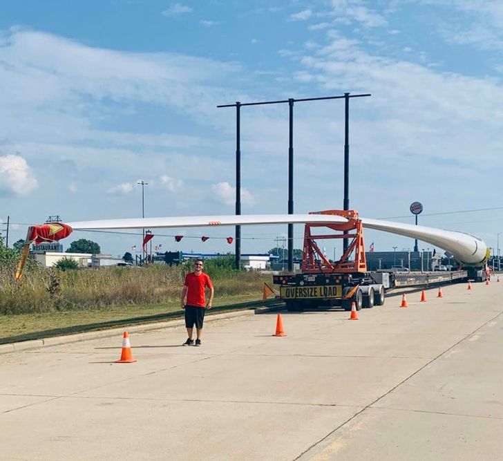 50个稀世珍宝,50个罕见的巨物让人惊叹