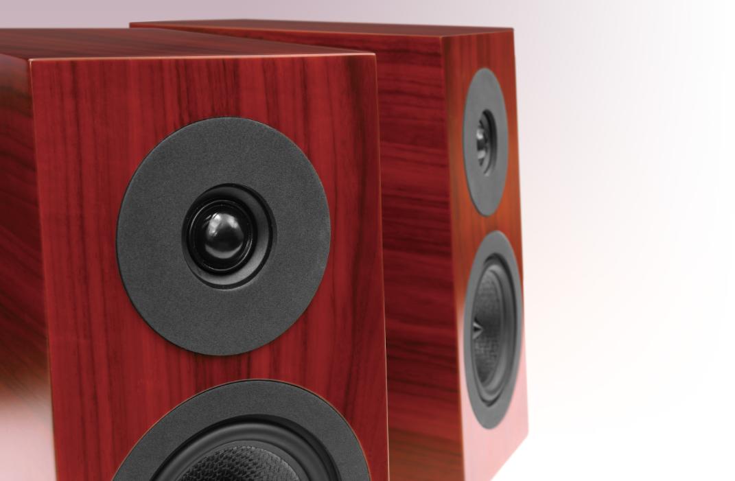 引爆小空间DavisAcousticsCourbetN°3书架式音箱