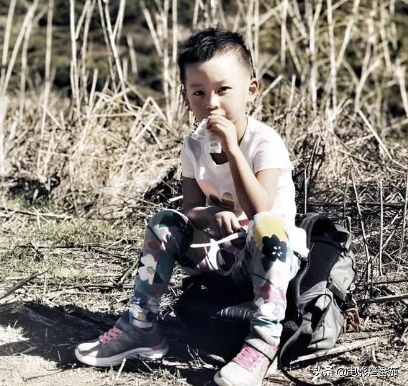 乐嘉为什么喜欢大吼大叫,乐嘉情绪失控经历