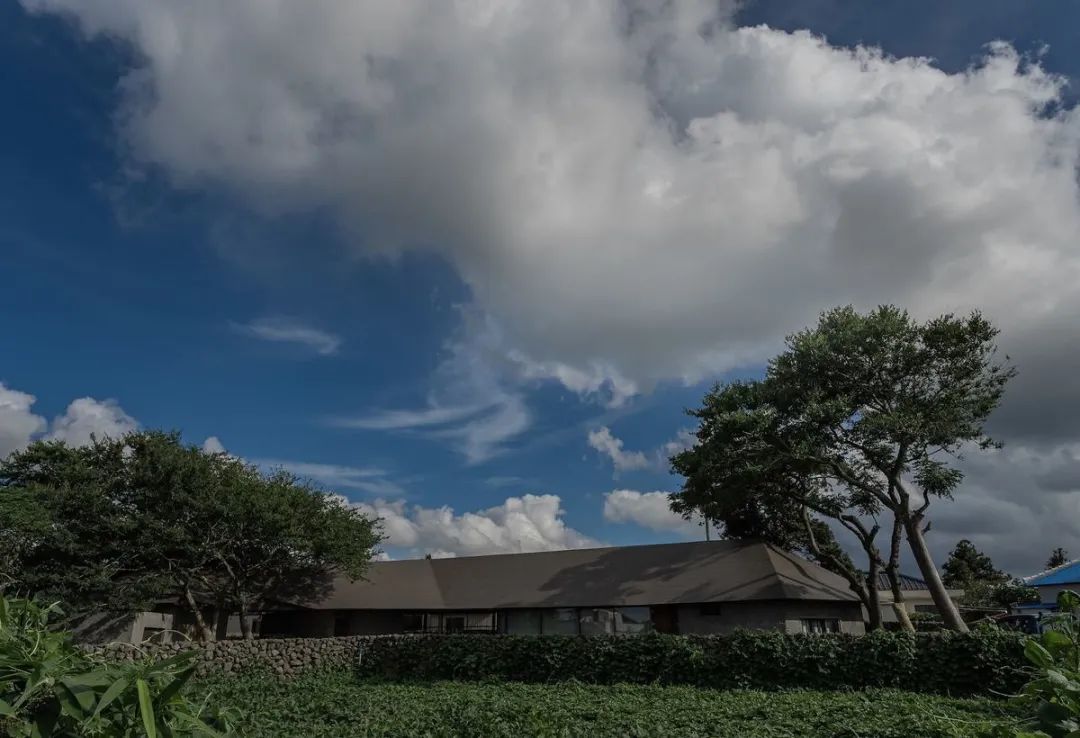 古朴民宿,舒适的归园