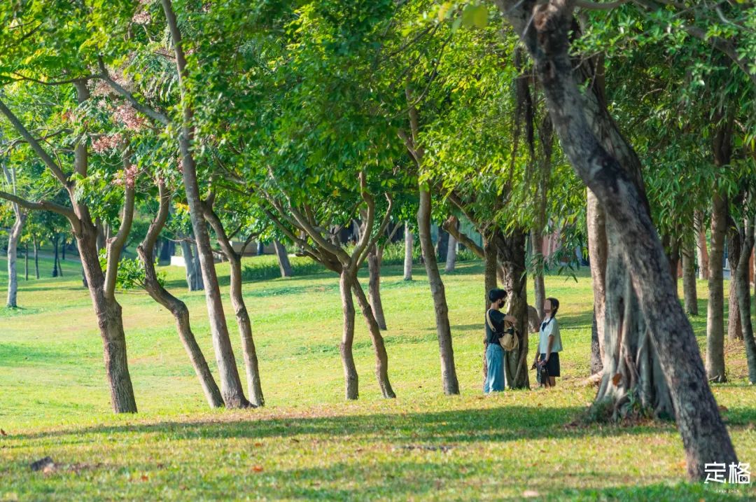 家住深圳必去的公园绿道,深圳环湖绿道好玩么