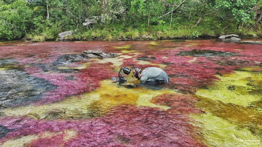 96岁还在奔波工作，这老爷子做出了今年9.8分神片