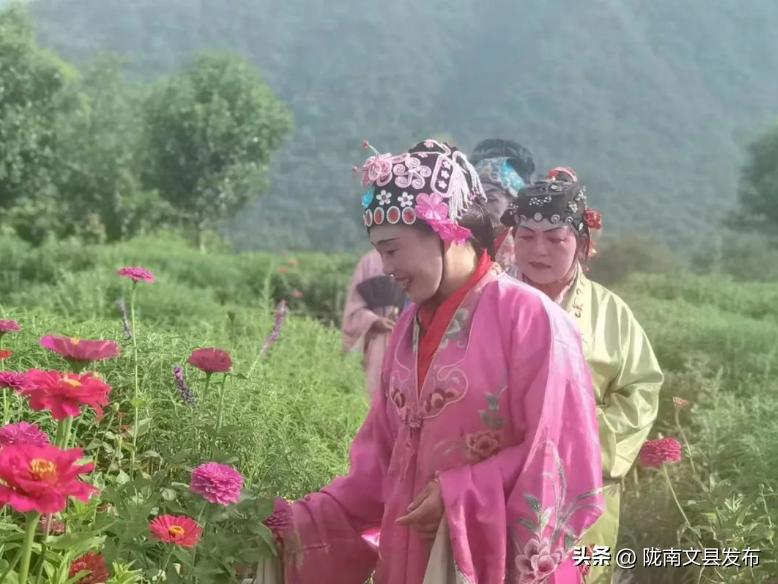 五一想去玩哪也没去,文县旅游一日游