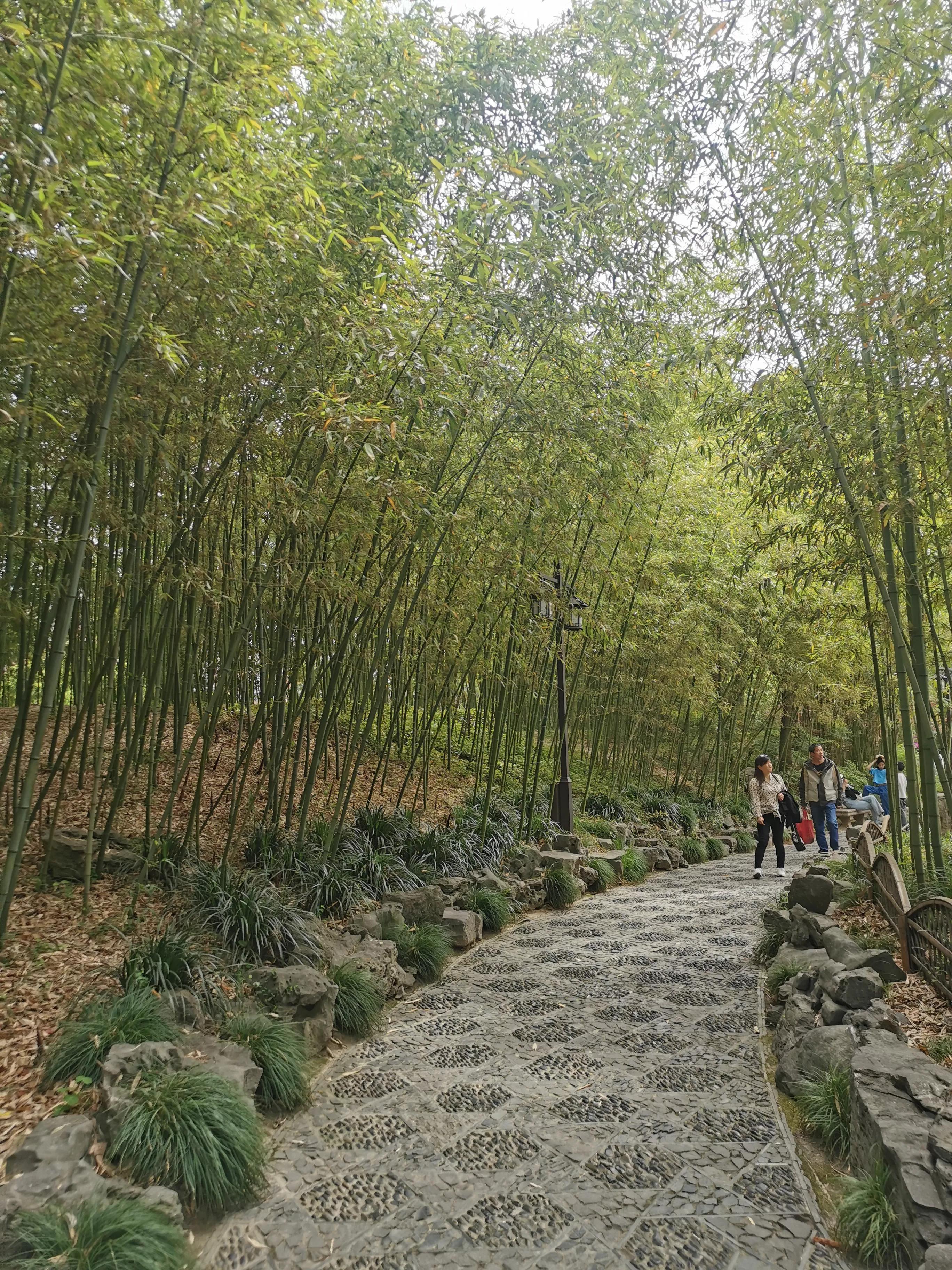 上海园林古猗园,上海古猗园留下美丽景色