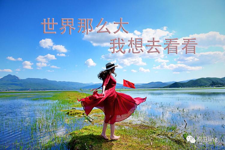 怎么向商家推广免费旅游卡,旅游分享卡怎么做