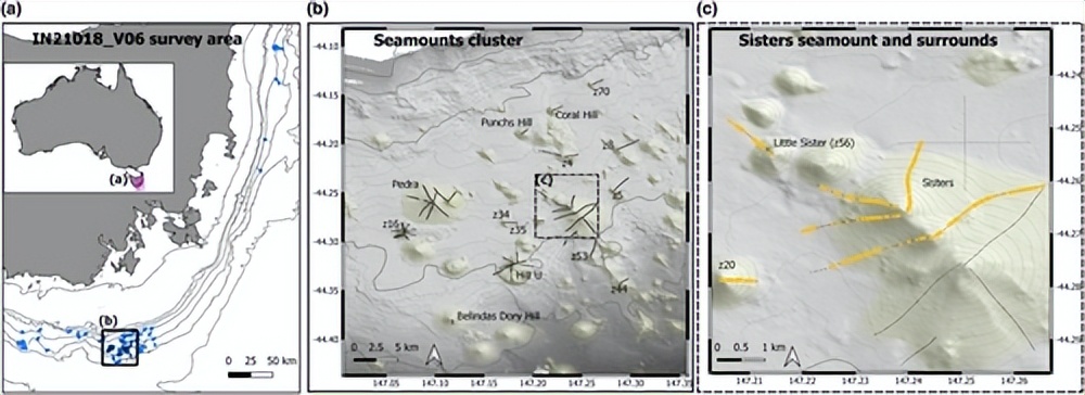 海底底质分类成果图,海底底质分类