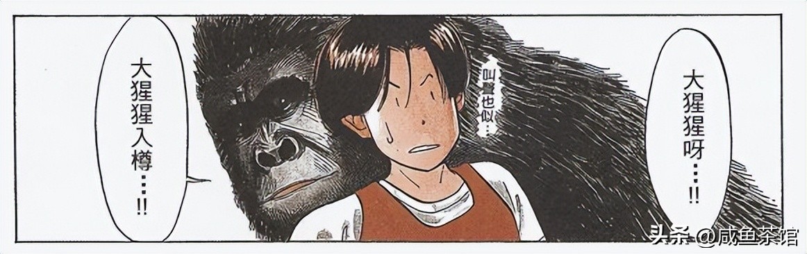 灌篮高手湘北人物一览表,灌篮高手全体叫什么名字