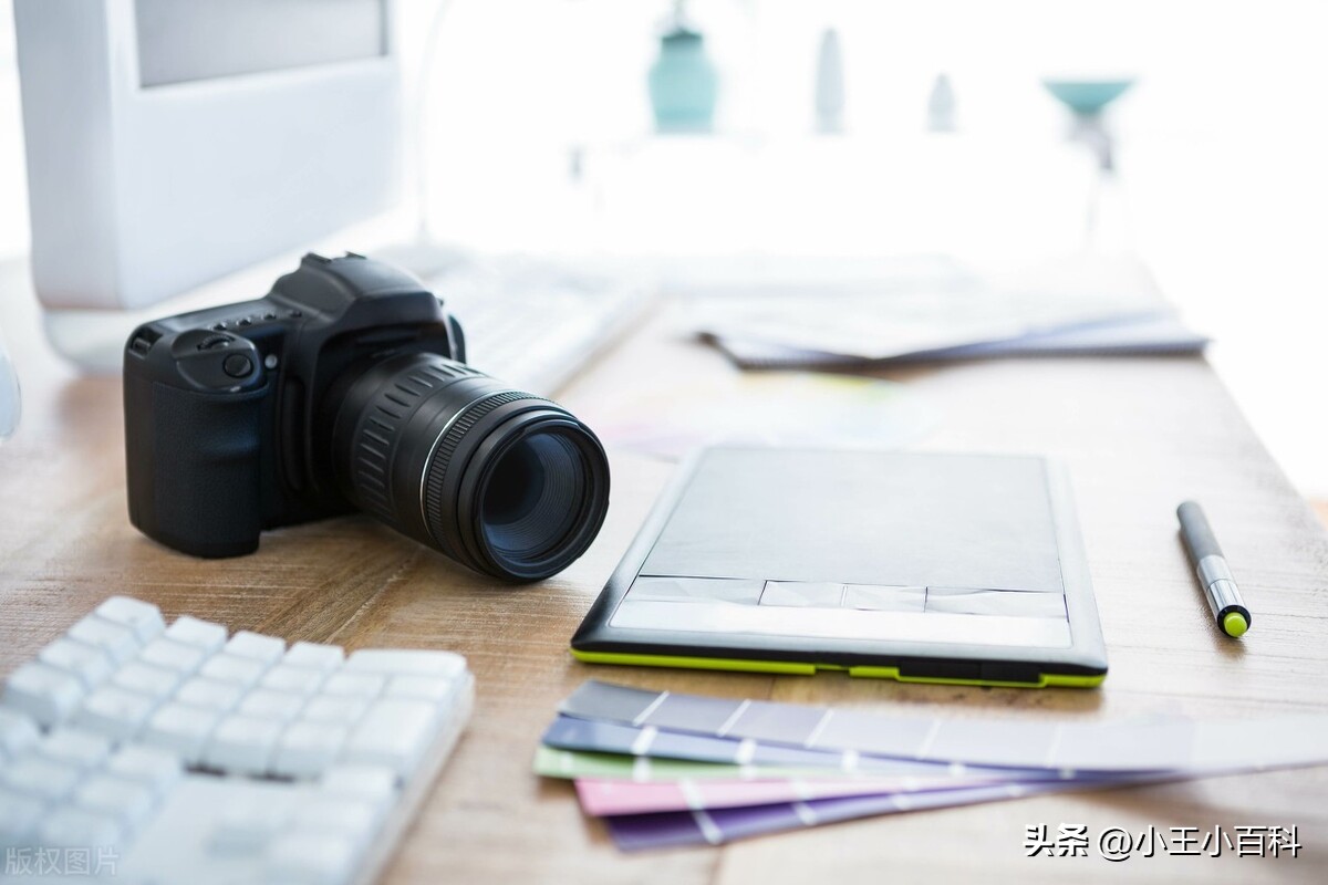 入手佳能90D与18-135MMUSM镜头，我的使用心得