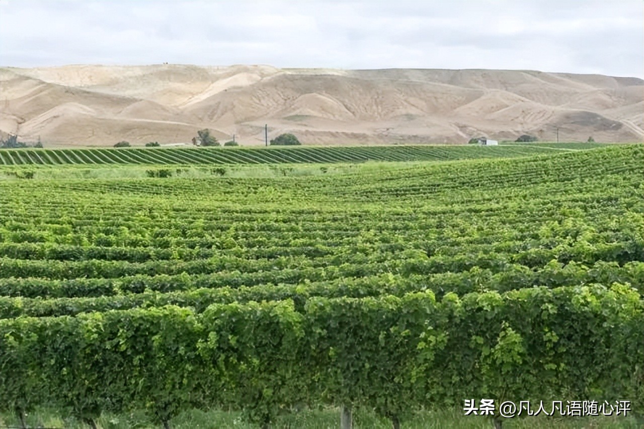 游记分享推送,游记分享我的旅行日记