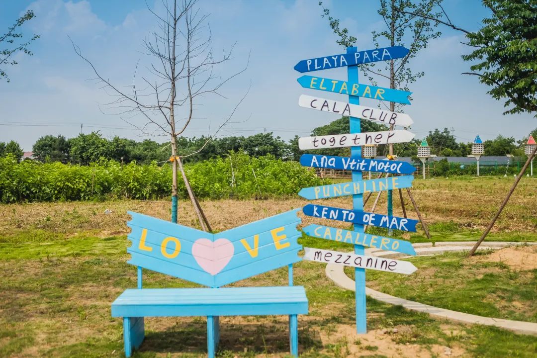 稻梦空间乡村生态观光园,稻梦空间采摘园