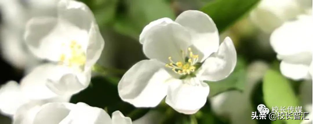 以道德情操滋养师德之魂——《如何成为一名好老师》读书心得