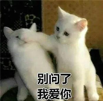 给你花花表情包,给你花花表情包啥意思