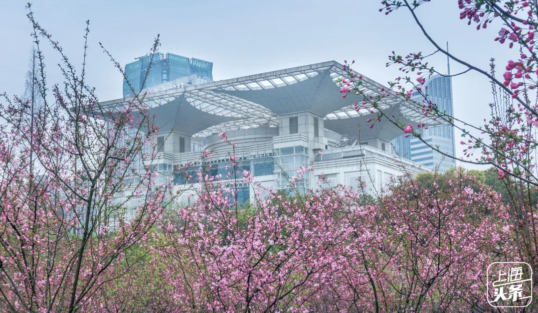 实用全上海532家公园攻略速速收藏,上海攻略必去的公园