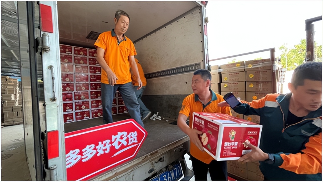 一年线上卖出1200多亩苹果，“95后”烟台女婿运营网店刷新纪录