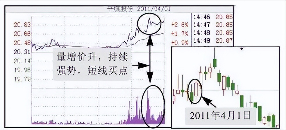 女博士回应中国股市背后的庄家,北大女博士谈中国股市背后的庄家