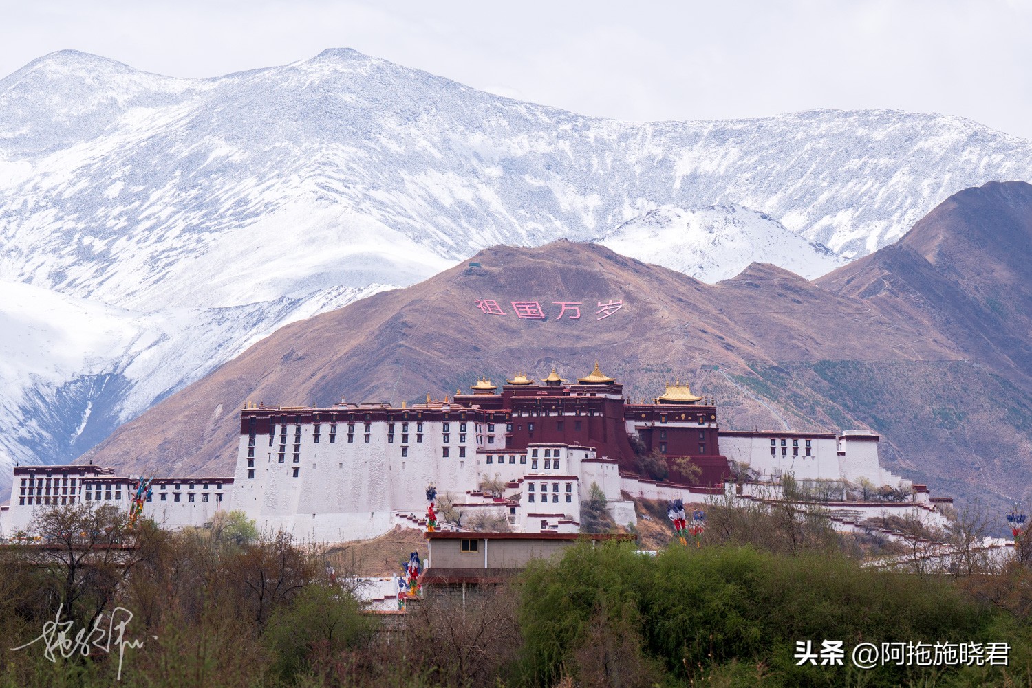 回到拉萨旅行,去拉萨的旅行攻略