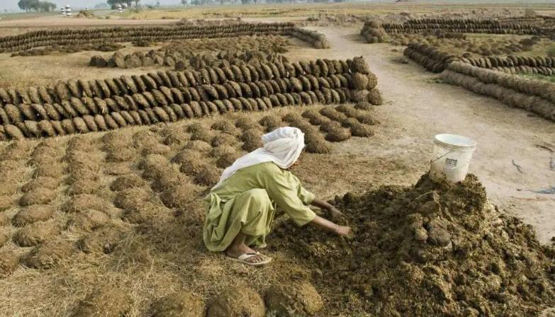 涓編2021骞寸編鍏僩dp瀵规瘮,缇庡獟璇勪腑缇巊dp宸窛