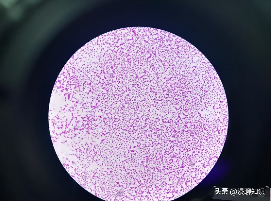 老年人得了肺炎应如何有效医治,肺炎有多严重怎么办