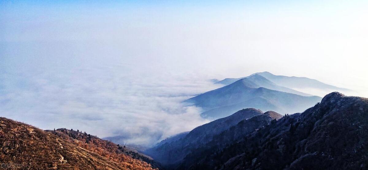 洛阳5月19日免费旅游景点有哪些,洛阳全部好玩的地方