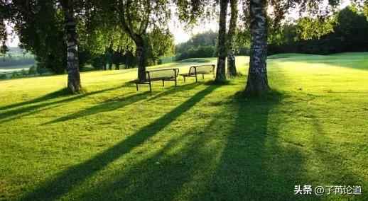 你怎么争也争不过天小视频,你怎么争都争不过天道