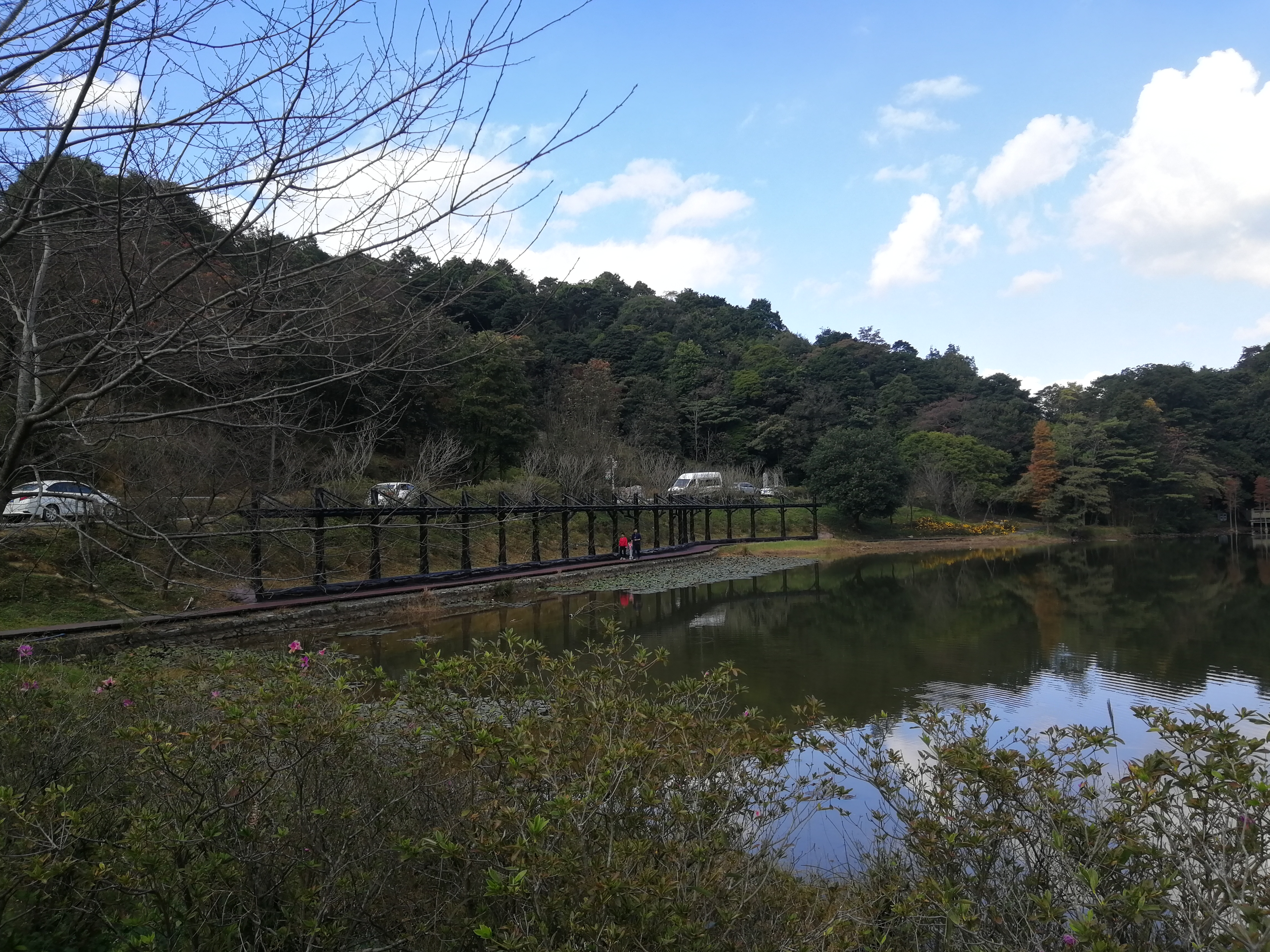 石门森林公园樱花谷交通线路,从化石门公园枫叶