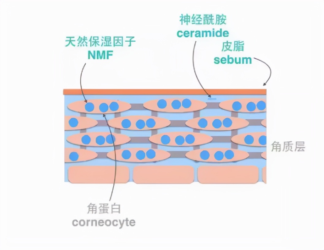 用了护肤品皮肤刺痛是缺水吗,护肤刺痛缺水怎么回事