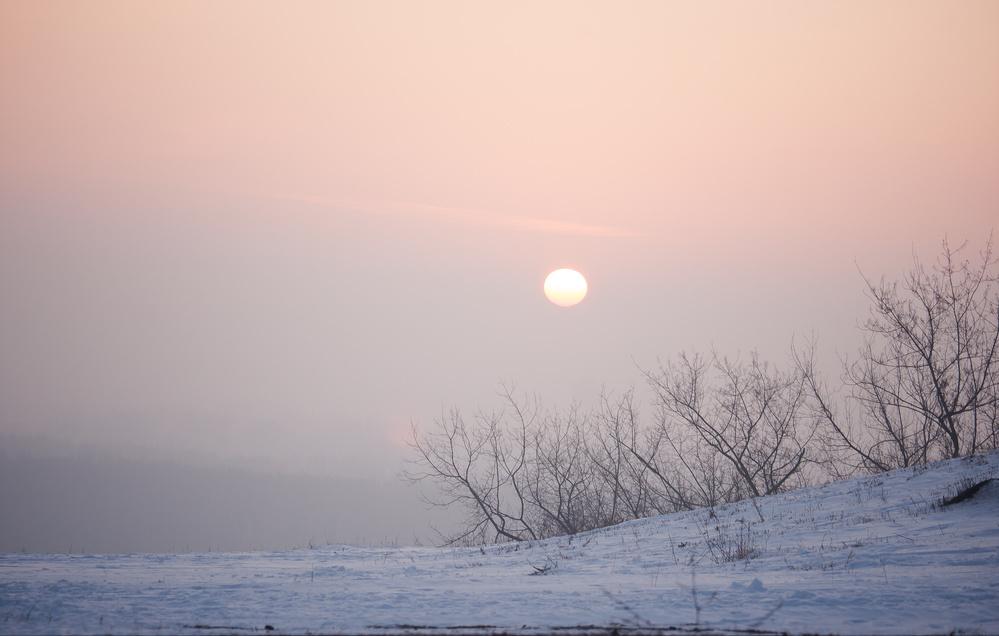 明月如霜好风如水清景无限赏析,明月如霜好风如水清景无限出处