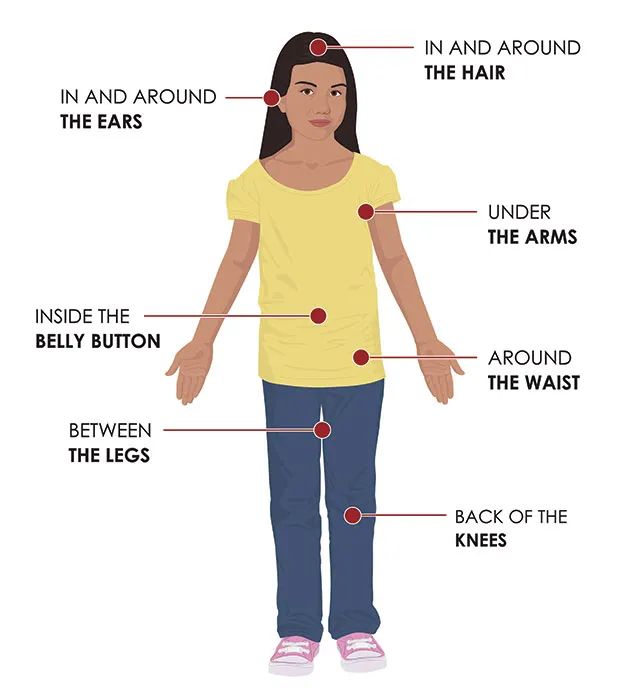 小宝宝出门怎么防护毒虫,带孩子出去玩当心这种虫子