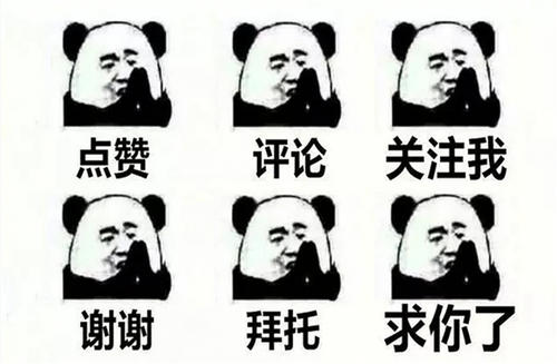 养猪的心声和感悟,养猪人的辛酸只有养猪人才有体会