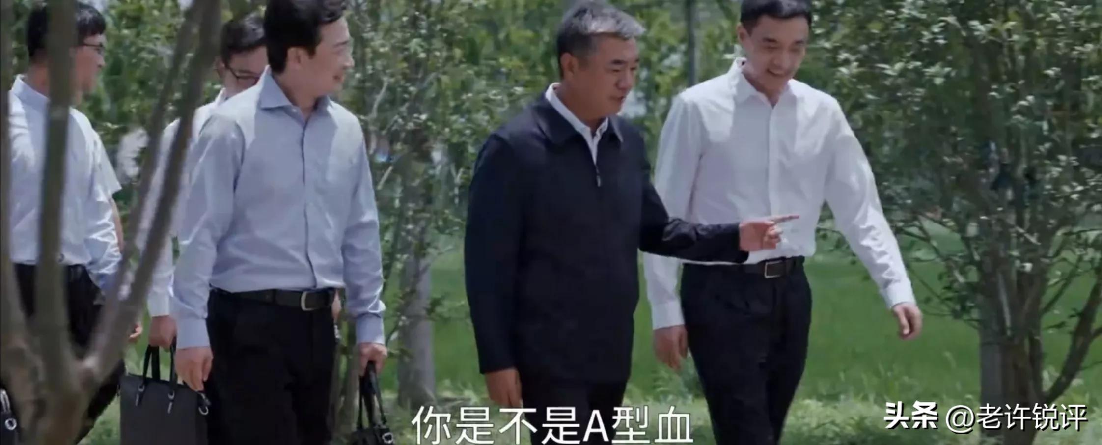 县委大院第1-30集解析,县委大院第八集深度理解