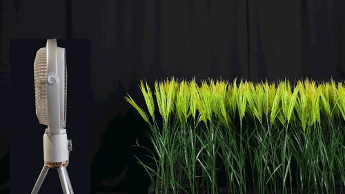 一台电风扇秒杀全网,电扇最新款便携