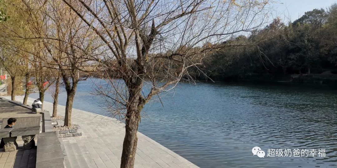 曾经的10倍以上大牛股,2005年前半年十大牛股