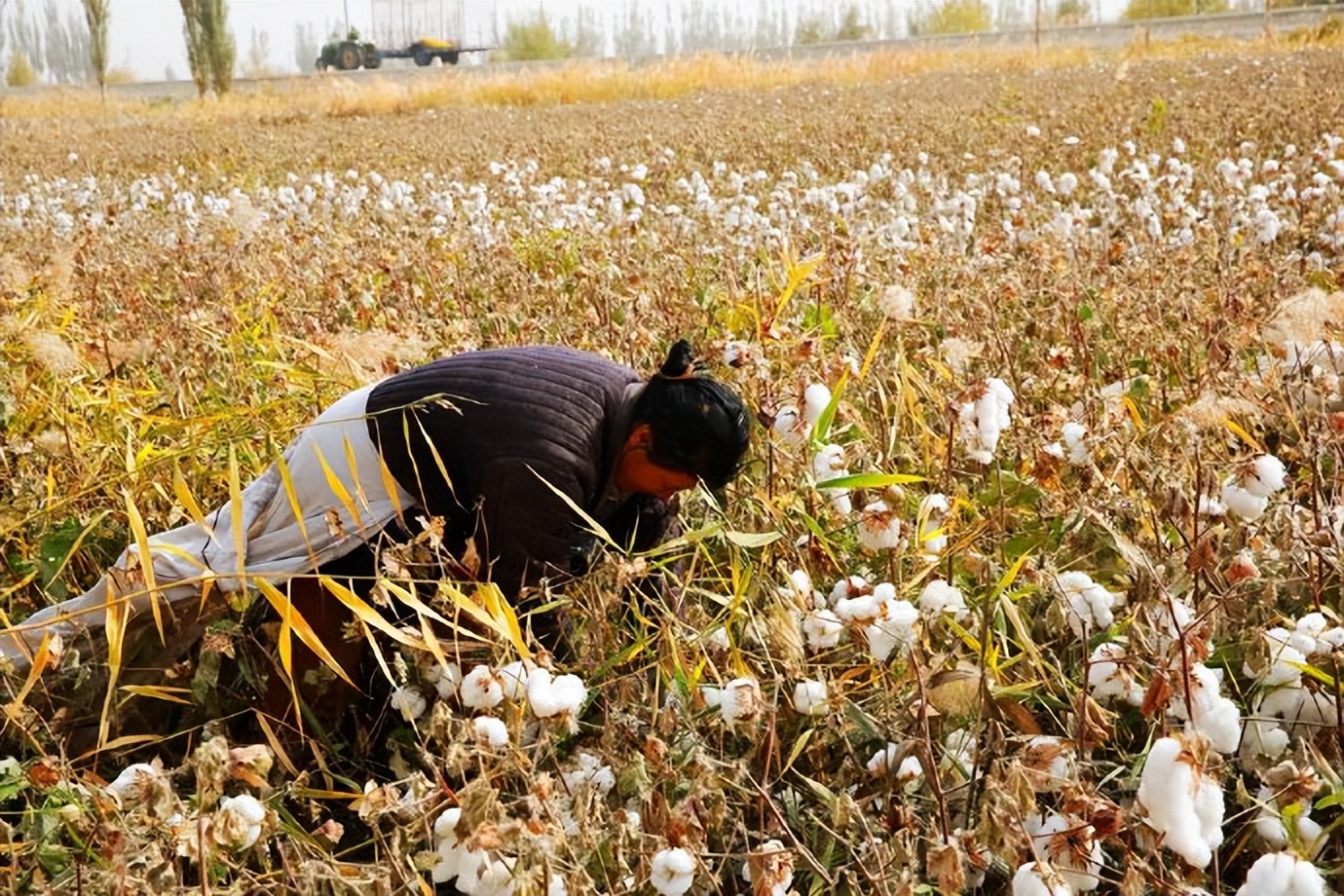 环游新疆15天,环游南疆8天攻略