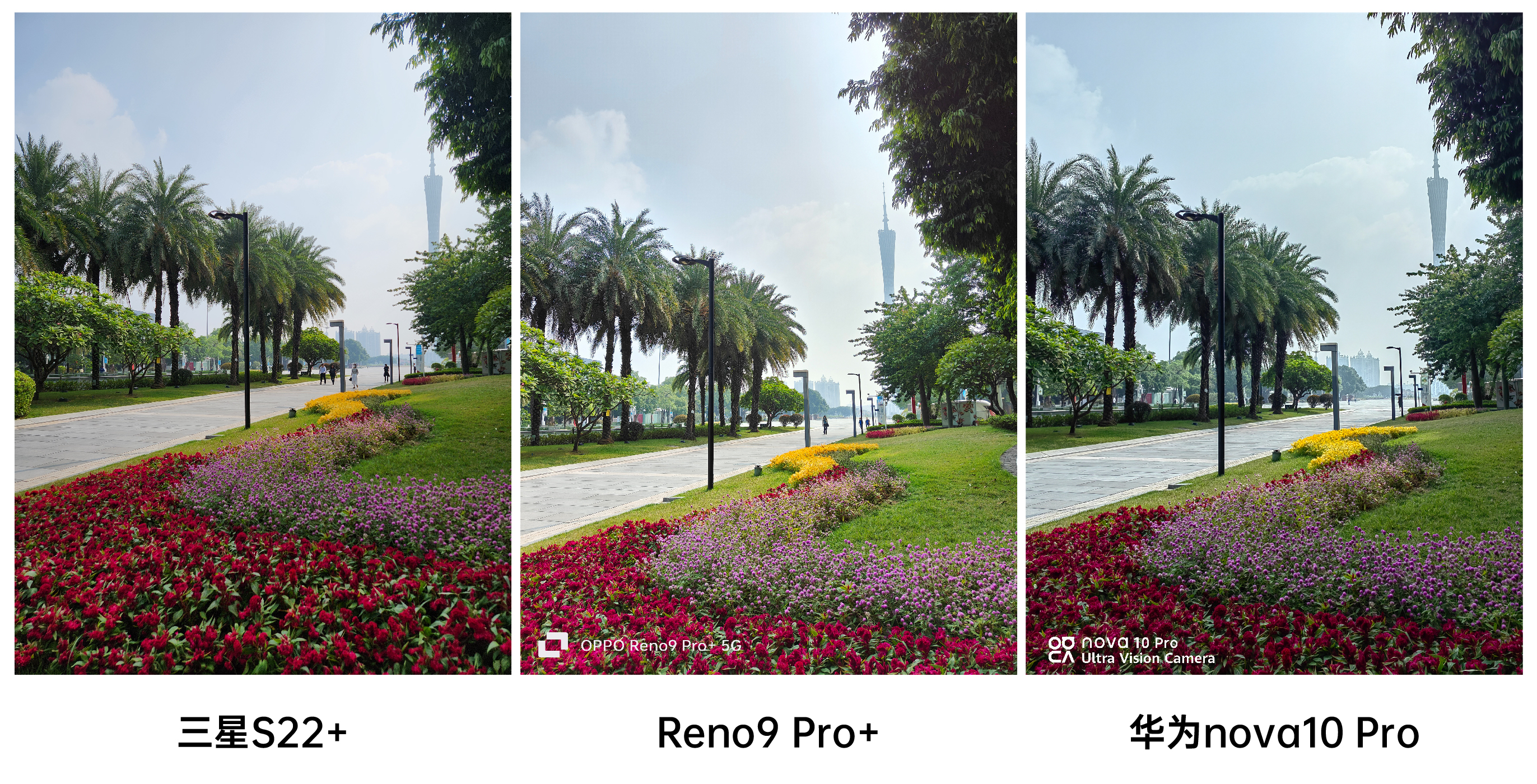 reno9pro+拍照对比,华为reno9pro测评