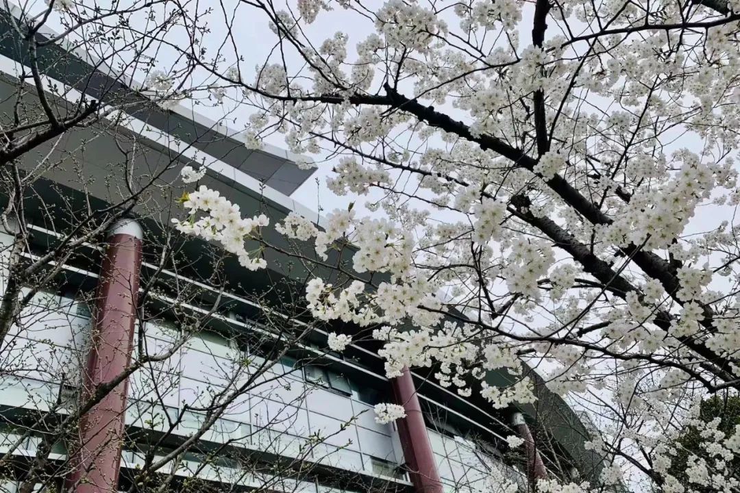 中评协印发《中国资产评估协会2023年培训计划》【早间会报】