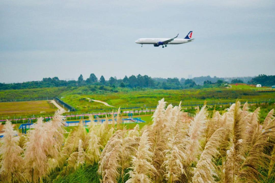 放假去哪里玩又便宜又好玩成都,假期去哪玩便宜又好玩儿成都