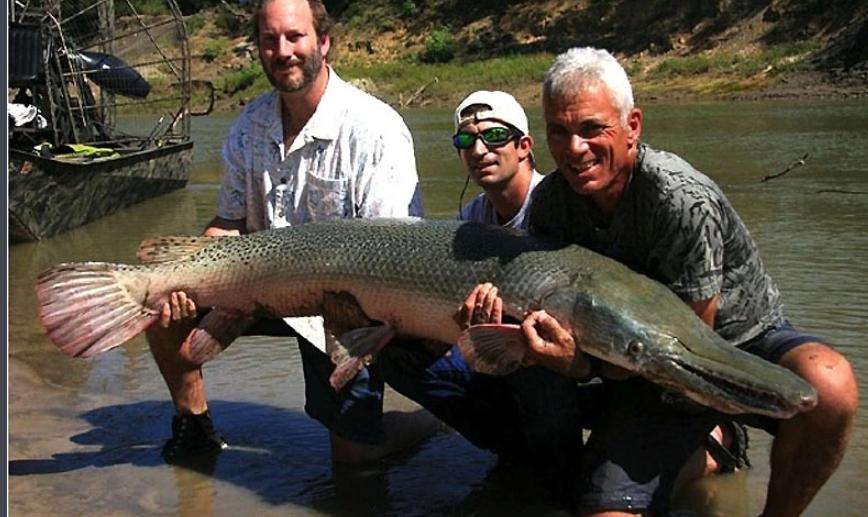 小到钻丁丁，大到吞活人，这片贝爷看了都怕